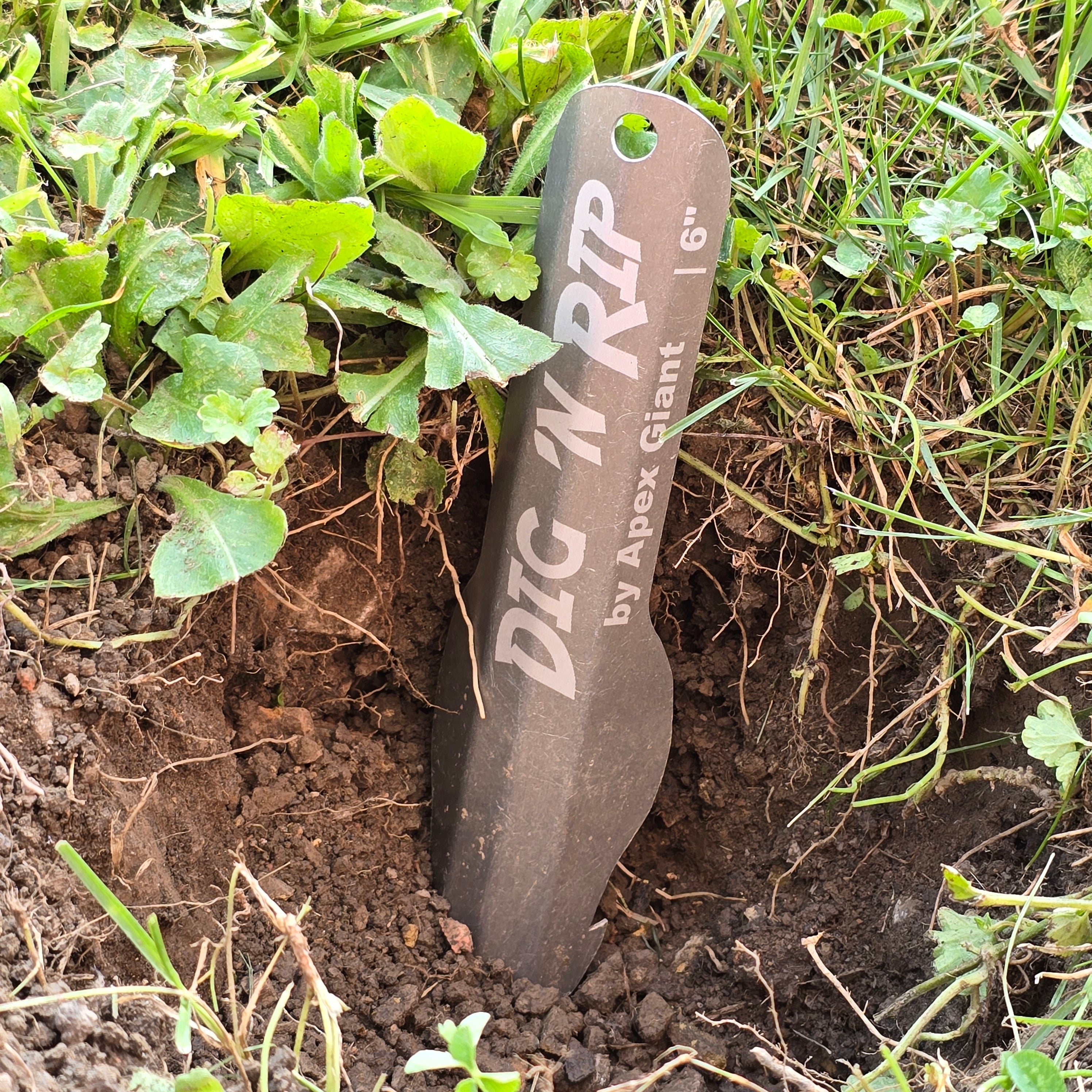 Dig 'N Rip Hiking Trowel – Apex Giant
